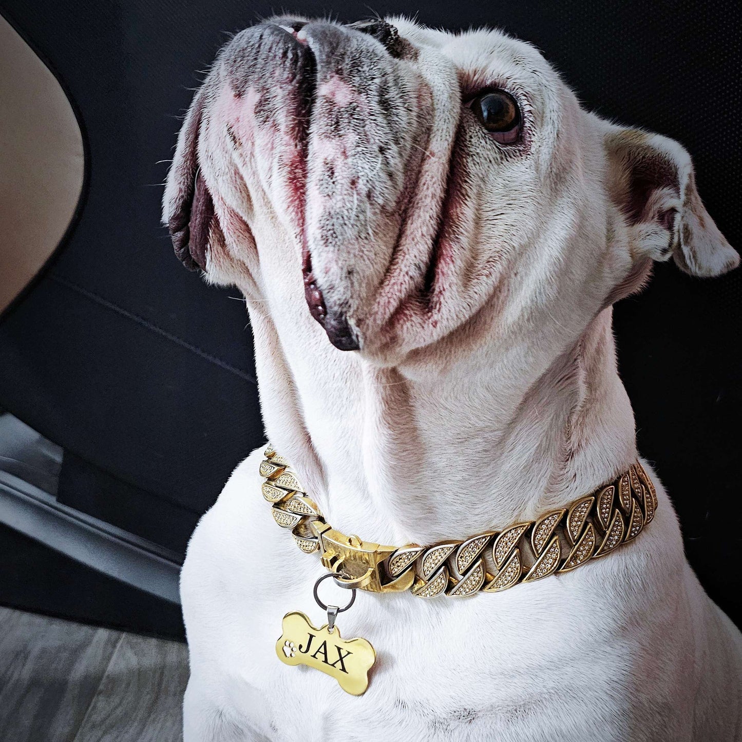 Eterna Tag L | Bone | Gold