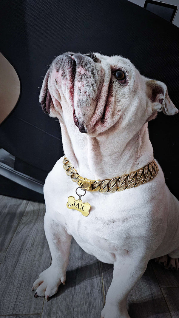 Eterna Tag L | Bone | Gold