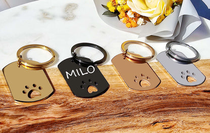 Eterna Paw Key | Silver