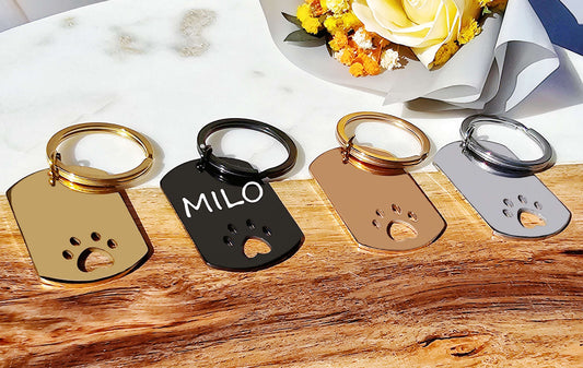 Eterna Paw Key | Silver